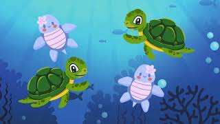 The Turtle Song by Magic Tune Kids [upl. by Niamert262]