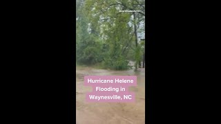 Hurricane Helene flooding in Waynesville NC [upl. by Claude]