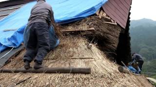 Thatch Roof Construction [upl. by Waxman832]