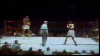 muhammed ali vs leila ali impossible is nothing english [upl. by Gassman]