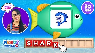 Sea Animal Spelling  Learning Sea Animal Names and Fun Facts With Miss V [upl. by Earas639]