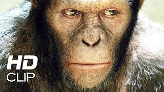 Apes Revolution  Il pianeta delle scimmie  quotLe scimmie non vogliono la guerraquot  Clip HD [upl. by Acilejna]