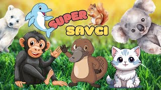 ✨ 🐨 SAVCI pro děti  Hádáme stíny zvířat  Hádanky pro děti  Zábavné vzdělávací video o savcích 🦧 ✨ [upl. by Aprile]