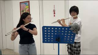 Ludwig van Beethoven  Allegro con brio from Flute Duo in G major [upl. by Olrac]