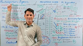 Photosynthetic pigmentsChlorophyllCarotenoidBioenergeticsNCRT MDCATHindi UrduProSuresh Kumar [upl. by Horst]