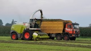 Loonbedrijf Neyt  Claas Jaguar 970  gras hakselen [upl. by Kaule287]