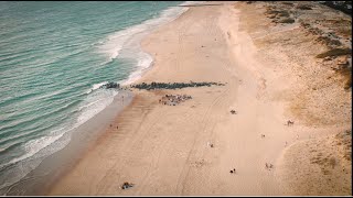 DECOUVRIR SEIGNOSSE sur la côte sud des LANDES  France [upl. by Walden838]