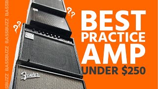 Best Beginner Bass Amp Group Review [upl. by Sirotek206]