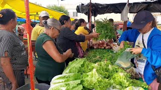 FEIRA LIVRE NA CIDADE DE CARNAUBAL CEARÁ DIA 19042024 [upl. by Nissie879]