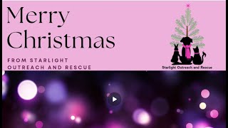 Starlight Outreach and Rescue Christmas Video 2023 [upl. by Anoik]