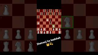 👑shatranj 💫 ka 👑 badshah 👑💫chessgame [upl. by Arit]