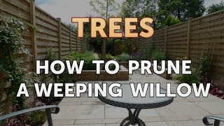 How to Prune a Weeping Willow [upl. by Iniretake60]