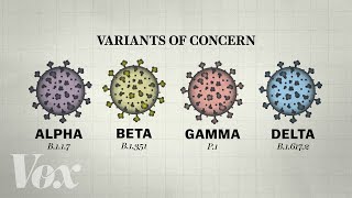 Why so many Covid19 variants are showing up now [upl. by Letsyrk532]