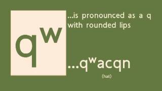 nsəlxcin iʔ‿sq̓y̓q̓ay̓s ColvilleOkanagan Salish Alphapet Pronunciation Guide [upl. by Inavihs892]