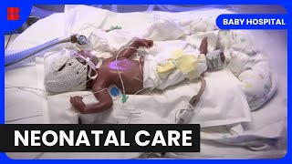 NICU Nurses Everyday Heroes  Baby Hospital  Medical Documentary [upl. by Cohbert]