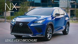 The 2019 Lexus NX Walk Around Video [upl. by Wardlaw335]