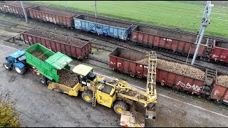 Zuckerrüben von der Saat bis zur Bahn 🇨🇭🚜🚂 [upl. by Aiel81]