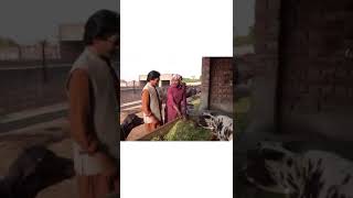 Goga Pasroori and Saleem Albela Funny Comedy funny entertainment comedy [upl. by Pollock]