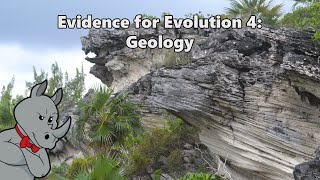 Evidence for Evolution  Geology [upl. by Vernon]