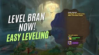 WOW The War Within  Level Up Brann Fast with This Daily Hack [upl. by Langley595]