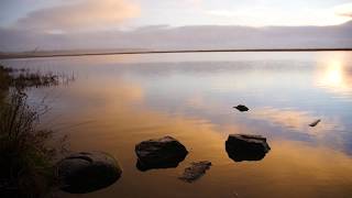 Pegwell Bay Nature Reserve [upl. by Negeam910]