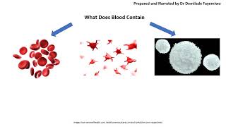 Chapter 82 Blood Cells Haemoglobin and the Bohr Shift [upl. by Alasdair118]