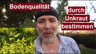 Durch Unkraut die Beschaffenheit des Bodens analysieren Bodenqualität mit Zeigerpflanzen verbessern [upl. by Assirat839]