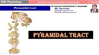 Pyramidal tract 12014 by Dr Khaled A Abulfadle [upl. by Adnohrahs]