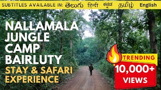 Nallamala Jungle Camp Bairluty  Amazing Nallamala Jungle Safari amp Stay Experience  With Subtitles [upl. by Ytissahc]