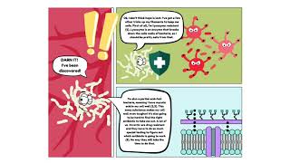 Term Project  Nocardia Melissa Tanguay [upl. by Melisse]