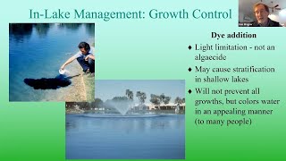 Methods of Algae Control Part 3  InLake Management Growth and loss [upl. by Pliner]