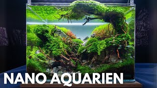 Die BESTEN Aquarien auf der Aqua Expo  ENAC 2024 [upl. by Akienat]