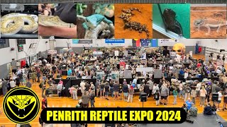 Penrith Reptile Expo 2024 [upl. by Ayifas83]