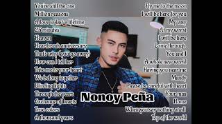 Nonoy Peña l Nonstop Cover Songs playlist cover [upl. by Chaves692]