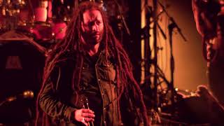 Alborosie  Kingston Town Live at Couleur Café 2018 [upl. by Ahsercul]