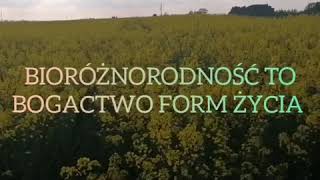 Bioróżnorodność Biologia klasa 8 [upl. by Otipaga]