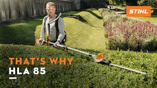 STIHL HLA 85  Longreach hedge trimmer with telescopic shaft I Thats why [upl. by Marika371]