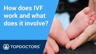 How does IVF treatment work and what does the procedure involve [upl. by Candless456]