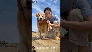 Alex Ne Machli pakad li🐠😍 dog funny pets story [upl. by Osbourne792]