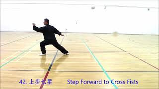 48 Form Taijiquan [upl. by Otrebmal721]