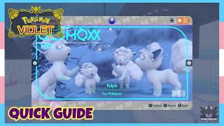 Where To Catch Alolan Vulpix In Pokemon Scarlet amp Violet The Indigo Disk  Location Quick Guide [upl. by Hairom]