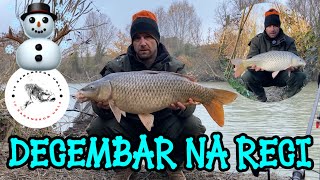 ☃️❄️ZIMSKO PECANJE šarana na RECI Decembar 2024 ❄️☃️ Winter carpfishing [upl. by Allsun627]