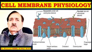 Human CELL Membrane PHYSIOLOGY Lectures by Dr Alamzeb [upl. by Fleisher]