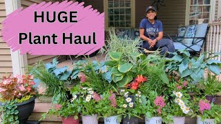 Perennial Plant Haul  FREE  Astilbe Hosta Daisies Liatris [upl. by Aztilem]