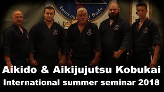 Demonstration 58 Aikido amp Aikijujutsu Kobukai International summer seminar 2018 [upl. by Enylcaj]