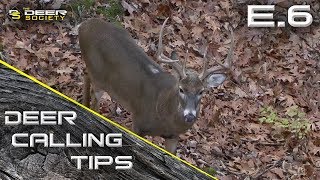 Deer Calling Tips  E6 quotDoe Bleats on Pre Rut Bucksquot [upl. by Rochella]