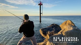 Fishing the Destin East Jetty  Big Bluefish in December [upl. by Beebe74]