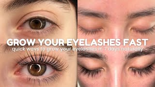 how to grow your eyelashes FAST amp NATURALLY in just 7 Days 🧸🎀 [upl. by Adaven]