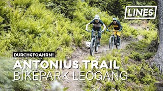 Antonius Trail  Bikepark Leogang  LINES [upl. by Noir570]