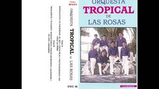 Orquesta Tropical  Pacto de Muerte Hija de Nadie 1987 [upl. by Leahcimnhoj114]